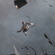 Illustration for article titled Inside The Weird World Of iEVE Online/is Corpse Collectorsem/em